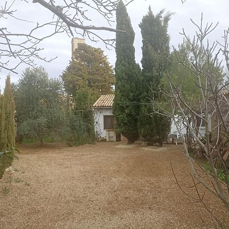 Casa Junto Al Parque Natural De Las Bardenas Садаба Экстерьер фото